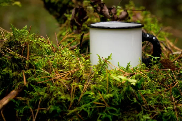 a cup of tea in the forest. forest background. moss and leaves