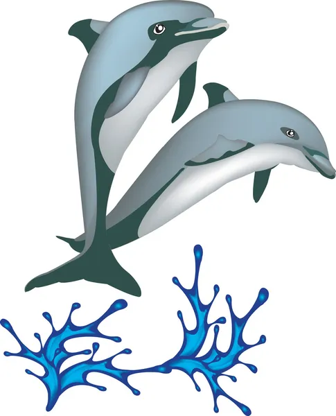 Dos delfines saltando del agua — Vector de stock