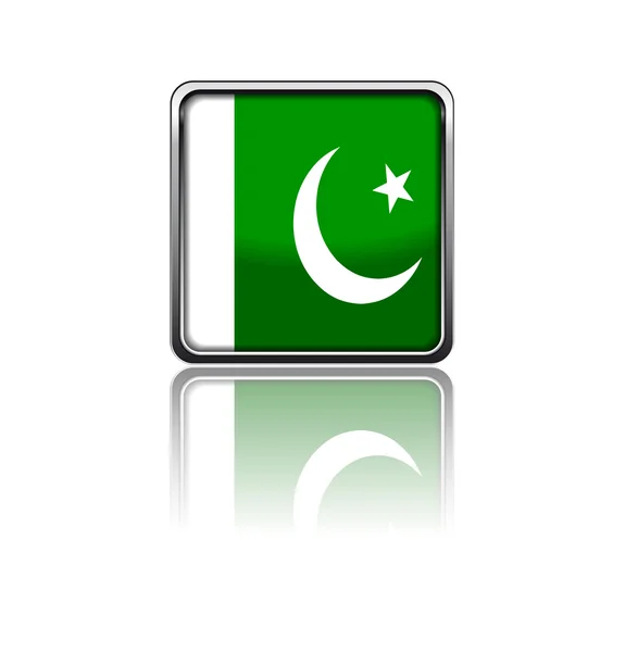 パキスタンの国旗 — ストックベクタ