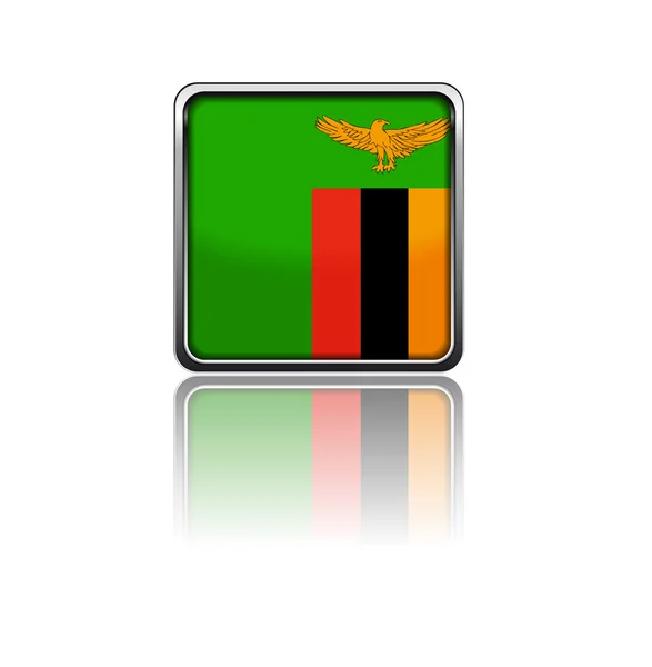 National flag of Zambia — Stock Vector