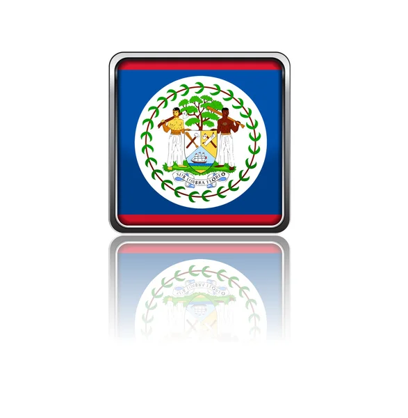 伯利兹国旗 — 图库照片