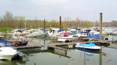 Almanya'da Ren nehir pastoral Marinada