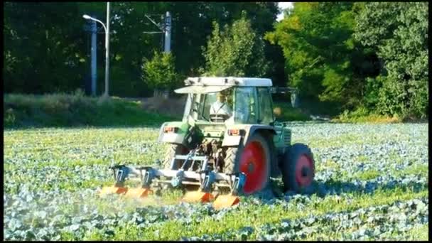 Agricultura — Vídeo de stock