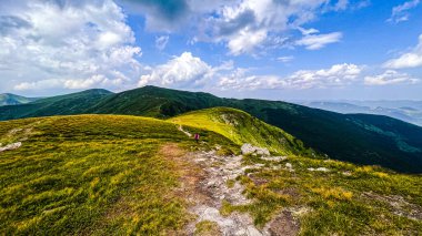 Doğa peyzajı - Karpat Dağları hiddeti. Ukrayna 'nın turistik yerleri. Açık bir yaz günü. Turizm kavramları, çevre.