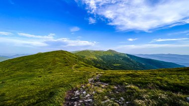 Doğa peyzajı - Karpat Dağları hiddeti. Ukrayna 'nın turistik yerleri. Açık bir yaz günü. Turizm kavramları, çevre.