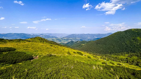 Naturlandskap Karpaterna Rasar Turistplatser Ukraina Klar Sommardag Begreppen Turism Miljö — Stockfoto