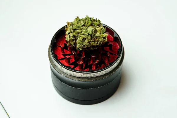 Primer Plano Los Brotes Marihuana Medicinal Sobre Fondo Blanco Concepto —  Fotos de Stock