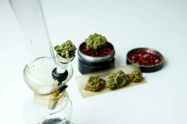 Gros Plan Des Bourgeons Marijuana Médicale Sur Fond Blanc Concept — Photo