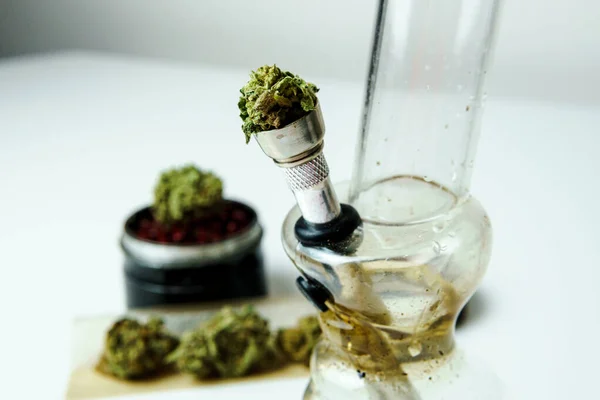 Primer Plano Los Brotes Marihuana Medicinal Sobre Fondo Blanco Concepto — Foto de Stock