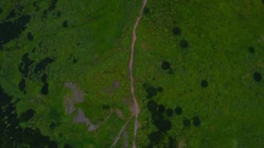 Karpat Dağları 'nın havadan görünüşü, ormanın yukarıdan görünüşü ve yürüyüş yolu. Ukrayna 'nın turistik yerleri. Turizm, çevre ve doğa konseptleri.