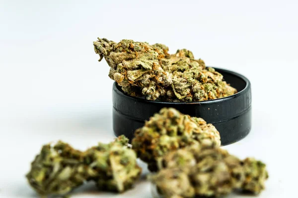 Primer Plano Los Brotes Marihuana Medicinal Sobre Fondo Blanco Concepto — Foto de Stock