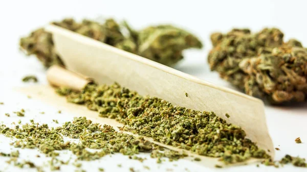 Nahaufnahme Medizinischer Marihuana Knospen Auf Weißem Hintergrund Konzept Der Pflanzlichen — Stockfoto