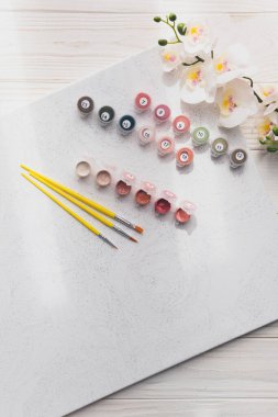 Sayılarla, pastel renklerle, tuvale çizim yapmak için renkli bir guaj seti. Boş zaman aktivitesi, hobi ve rahatlama kavramları. Seçici odaklanma. Kapat..