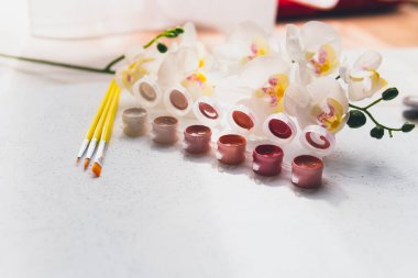 Sayılarla, pastel renklerle, tuvale çizim yapmak için renkli bir guaj seti. Boş zaman aktivitesi, hobi ve rahatlama kavramları. Seçici odaklanma. Kapat..