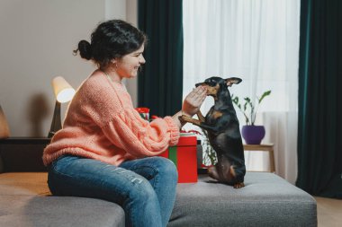 Happy young woman giving present for her dog from a gift box. Concept of childfree by choice and celebrating dog's birthday party