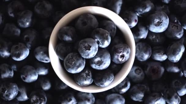 Freshly Picked Juicy Blueberries Background Flat Lay Blueberries Texture Concept — Stockvideo