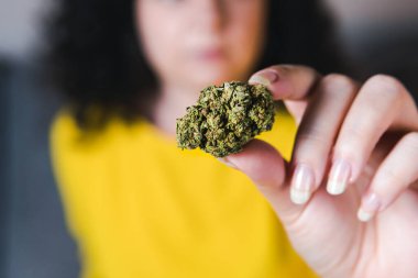 Yetişkin bir kadın elinde tıbbi marihuana tomurcukları tutuyor. Bitkisel ve alternatif tıp kavramı