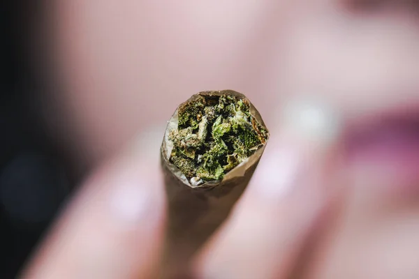 Makro Nahaufnahme Von Marihuana Joint Selektiver Fokus Konzept Der Pflanzlichen — Stockfoto