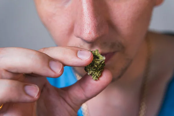 Homem Adulto Segurando Mão Botões Maconha Medicinal Perto Conceito Fitoterapia — Fotografia de Stock