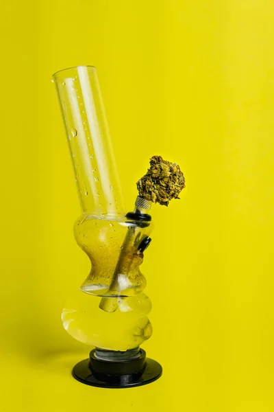 Marijuana Bud Bong Fundo Amarelo Close Conceito Fitoterapia Medicina Alternativa — Fotografia de Stock