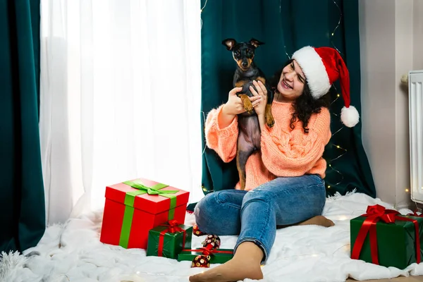 Портрет Молодой Женщины Играющей Смешной Собакой Миниатюрным Пинчером Вокруг Рождественского — стоковое фото