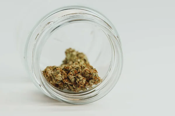 Marihuána Bimbók Fehér Háttérrel Közelről Kannabisz Gyógynövény Vagy Alternatív Gyógyszer — Stock Fotó