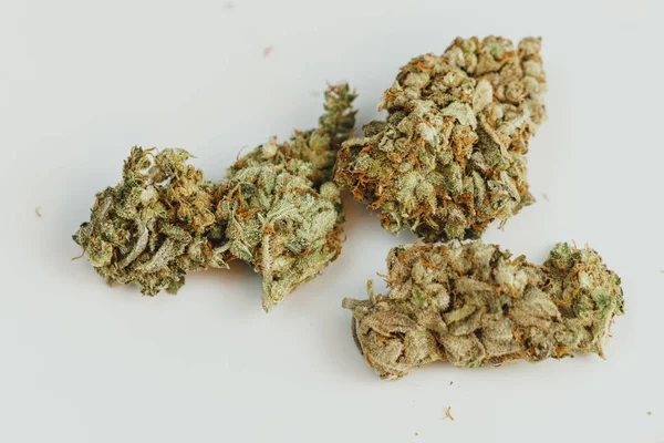Beyaz arka planda marihuana tomurcukları, yakın plan. Esrar bitkisel veya alternatif bir ilaçtır.