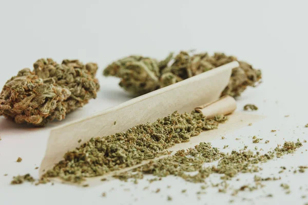Marihuana Knospen Auf Weißem Hintergrund Aus Nächster Nähe Cannabis Ist — Stockfoto