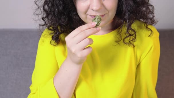 Femme Adulte Tenant Dans Main Des Bourgeons Marijuana Médicale Fermer — Video