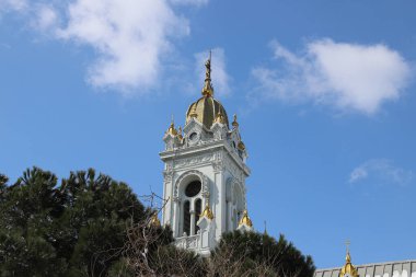 Bulgaristan Aziz Stephen Kilisesi veya Türkiye 'deki Bulgar Demir Kilisesi ve Kilise Detayları