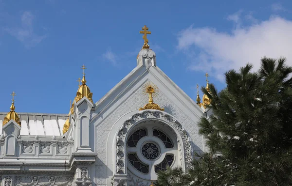 ブルガリア聖シュテファン教会またはトルコのブルガリア鉄教会と教会の詳細 — ストック写真