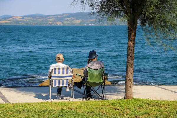 Two old men are sitting under a tree in the public park, watching the sea and chatting.