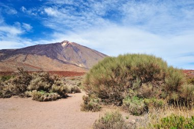 Volkan Teide