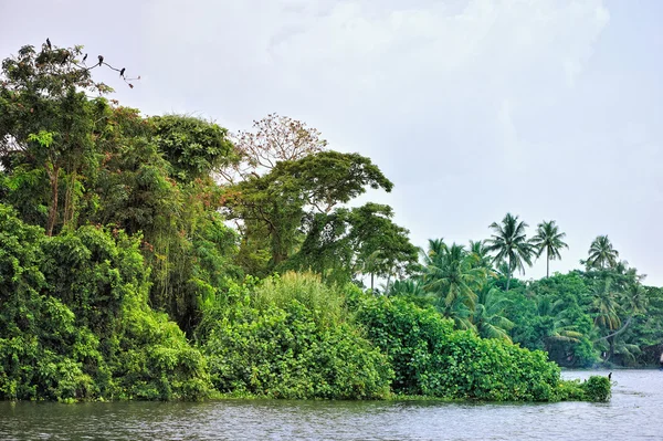 Lagoa tropical — Fotografia de Stock