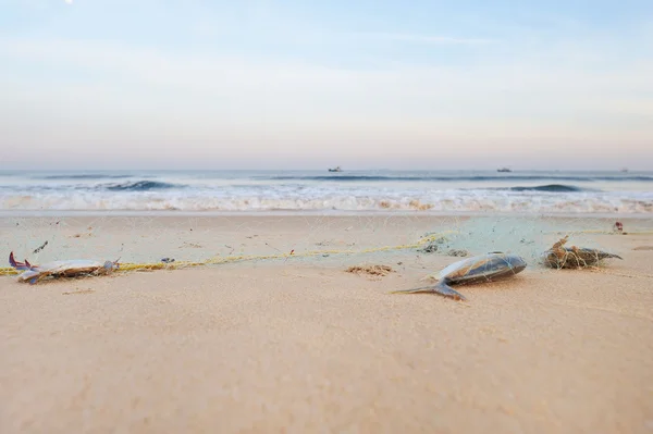 Pesca de captura — Foto de Stock