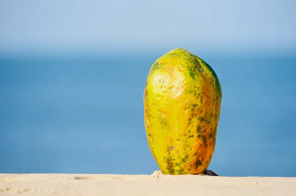 Papaya — Stockfoto