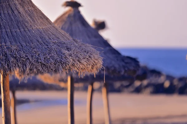 Straw umbrellas — Stock Photo, Image