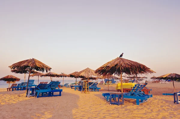 Playa en goa — Foto de Stock