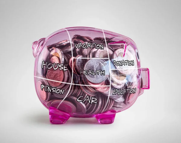 Besparingen Spaarplannen Budgetplanningsconcept Een Volledig Roze Spaarvarken Bank Met Spaarplan — Stockfoto