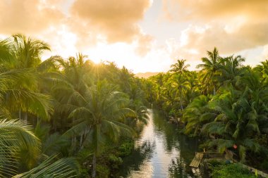 Brezilya 'da yağmur ormanlarıyla birlikte Amazon nehrinin üzerinde gün batımını izle