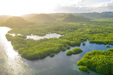 Anavilhanas takımadaları, Negro River, Amazonas, Brezilya 'daki Amazon ormanlarını sular altında bıraktı. Hava aracı görünümü