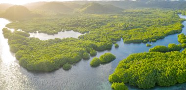 Anavilhanas takımadaları, Negro River, Amazonas, Brezilya 'daki Amazon ormanlarını sular altında bıraktı. Hava aracı görünümü