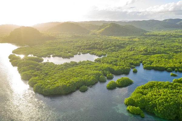 Anavilhanas takımadaları, Negro River, Amazonas, Brezilya 'daki Amazon ormanlarını sular altında bıraktı. Hava aracı görünümü