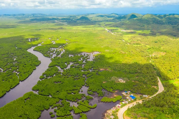 Zatopiona Amazońska Deszczowa Rzeka Negro Amazonas Brazylia — Zdjęcie stockowe