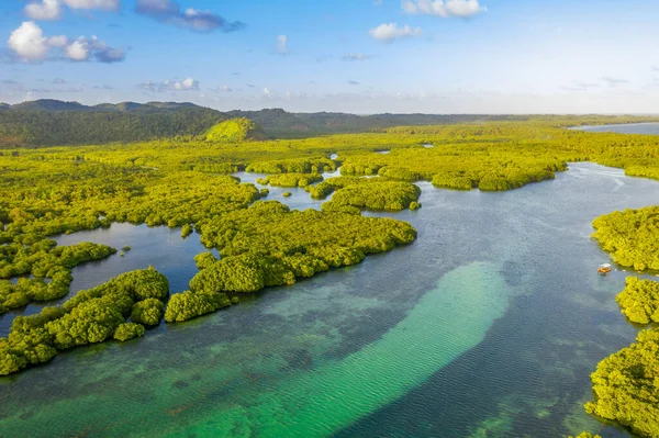 Anavilhanas takımadaları, Negro River, Amazonas, Brezilya 'daki Amazon ormanlarını sular altında bıraktı. Hava aracı görünümü