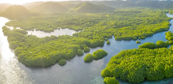 Anavilhanas takımadaları, Negro River, Amazonas, Brezilya 'daki Amazon ormanlarını sular altında bıraktı. Hava aracı görünümü
