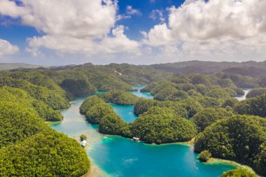 Mangrove Ormanı, Siargao, Filipinler 'de bir Sugba gölü. İHA ile havadan çekim.