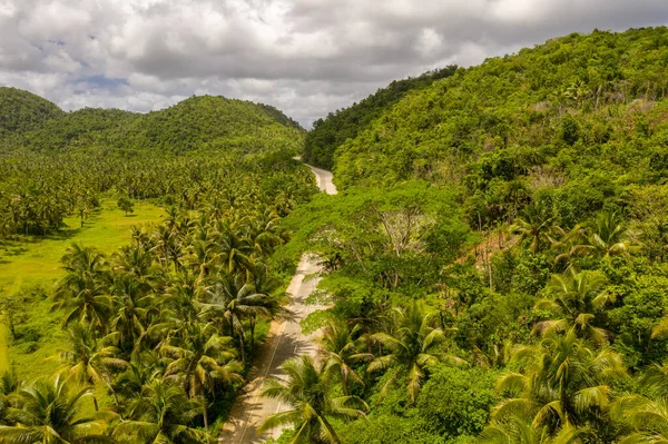 Paysage de palmiers verts avec route sur l'île de Siargao, Philippines. — Photo