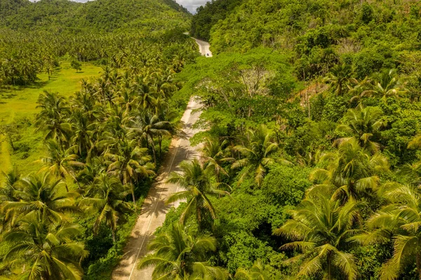 Siargao Adası, Filipinler 'de yolu olan yeşil palmiye ağaçları manzarası. — Stok fotoğraf