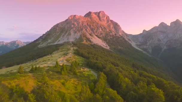 Terbang di atas hutan pinus di pegunungan Komovi saat matahari terbenam, Montenegro. Tampilan drone udara. — Stok Video
